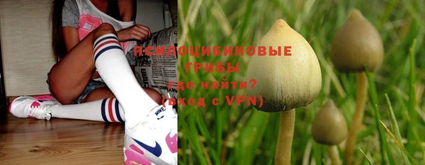 индика Баксан