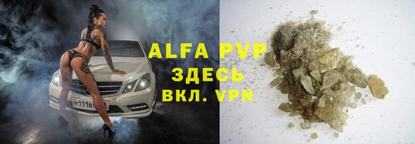 индика Баксан