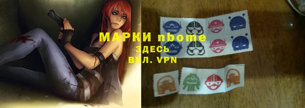 индика Баксан